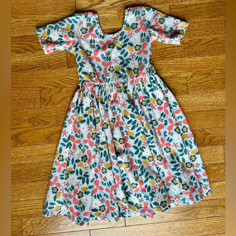 Alice & Ames Short Sleeve Ballet Dress in Lizzie Floral Sz 6